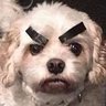Superblahman 的头像