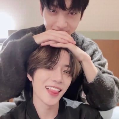 🐰🧸's profile picture