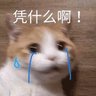Profilbild von 什么卡达鸭鸭