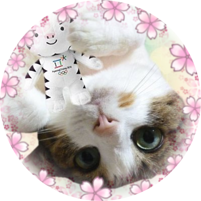 mikekurocha's profile picture