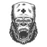 Profilbild von Crypto Doctor