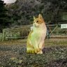 おかか profil fotoğrafı