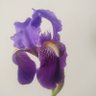 Фото профиля Mª Jose Jerez