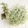 zeltzin74's profile picture