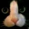 Profilbild von полуноч