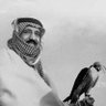 ساره (سُعودية الدم والهوى والولاء )'s profile picture