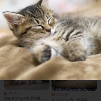 tont_1097's profile picture