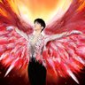 FIREBIRD SUPPORT GROUP profil fotoğrafı