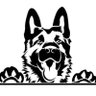 Profilbild von wakeupUSA
