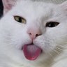 Sofia profil fotoğrafı