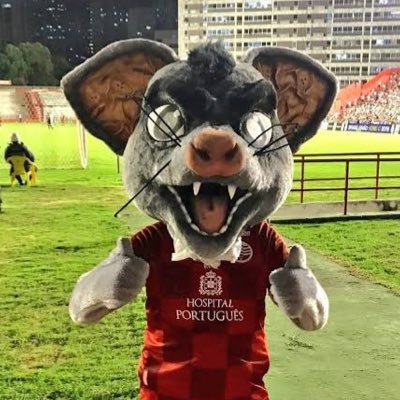 Sacoly's profile picture