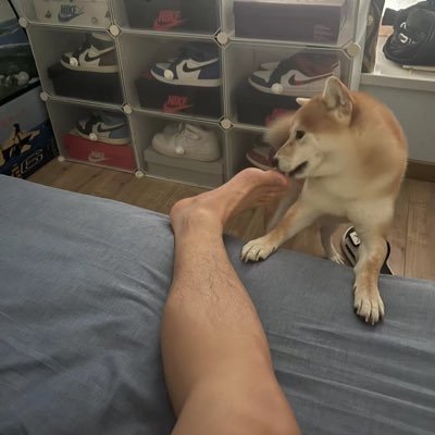 Kloseshua's profile picture