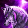 Profilbild von huskie (20)
