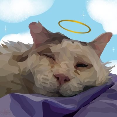 Siblings of Scruffkit's profile picture