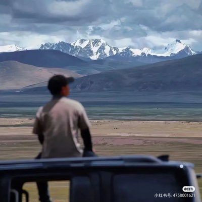 WuLongTea01's profile picture