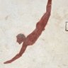 天地蜉蝣 profil fotoğrafı