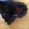 mai's profile picture