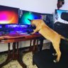 Blackkhan1337's profile picture