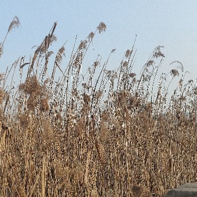 public2333's profile picture