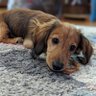 n a profil fotoğrafı
