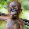 Mabuba's profile picture