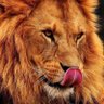 Profilbild von Sir_Nuel