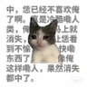 人生失败的猫猫's profile picture