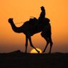" الرحال الأخير " 的头像
