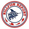 Billfish Report's profile picture