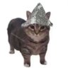 qwer's profile picture