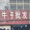 牛子批发 的头像
