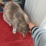 Фото профиля Kullanılmıyor