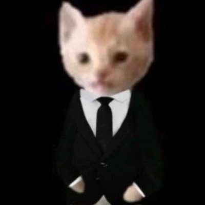 leo's profile picture