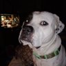 Cynthia Sarac's profile picture