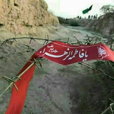 یاس's profile picture