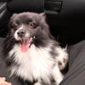 Arti's profile picture