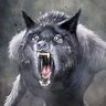 Wolfyeh's profile picture