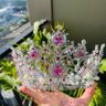 Фото профиля Hale Mehdi