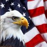 Profilbild von America first Vito 🇺🇸