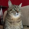 卡拉迪亚海寇 profil fotoğrafı