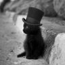 Steve 🇨🇦 🇺🇸 🏴‍☠️ profil fotoğrafı