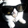 Profilbild von KraXy
