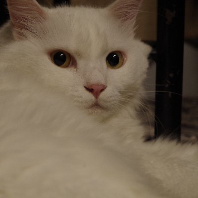 relaxin666's profile picture