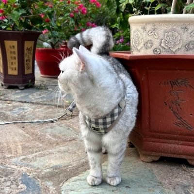 Tsp10081099's profile picture
