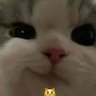 Rad profil fotoğrafı