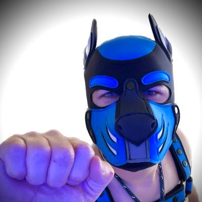 spacepup_jasper's profile picture