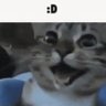 lrexx's profile picture