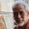 Profilbild von Kang Adim
