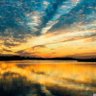 Фото профиля Michelle Thomas