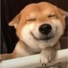 NNNNNN's profile picture